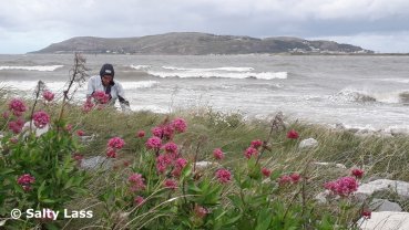 Towards the Great Orme