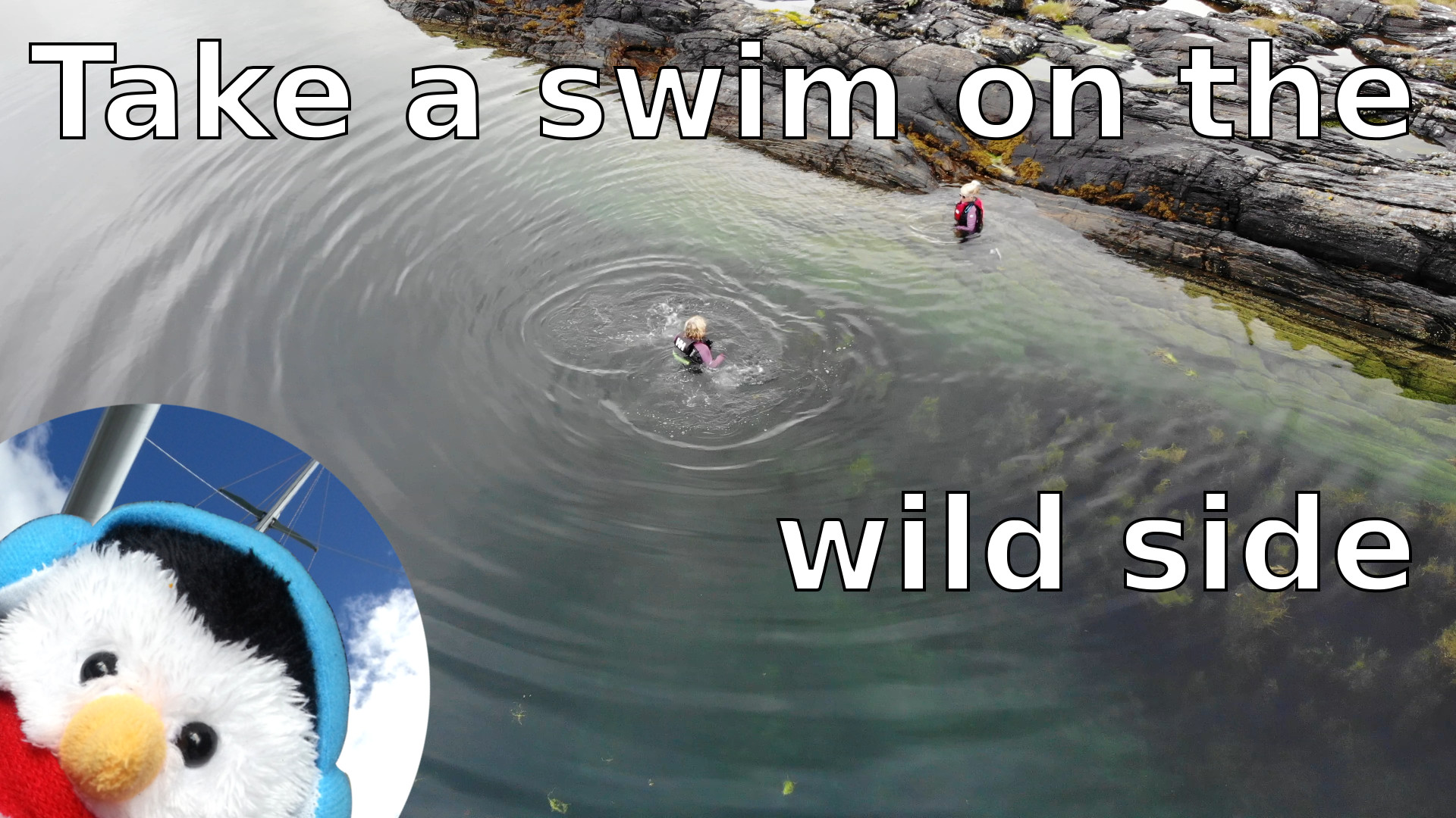 Watch our "Take a swim on the wild side" video and add comments