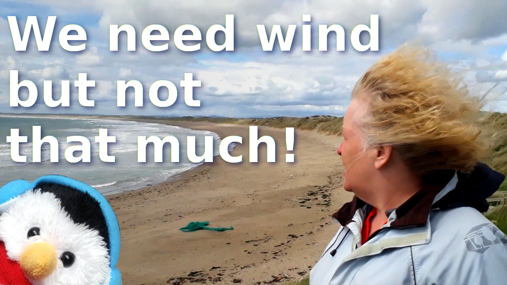 Watch our "We need wind but not that much!" video and add comments