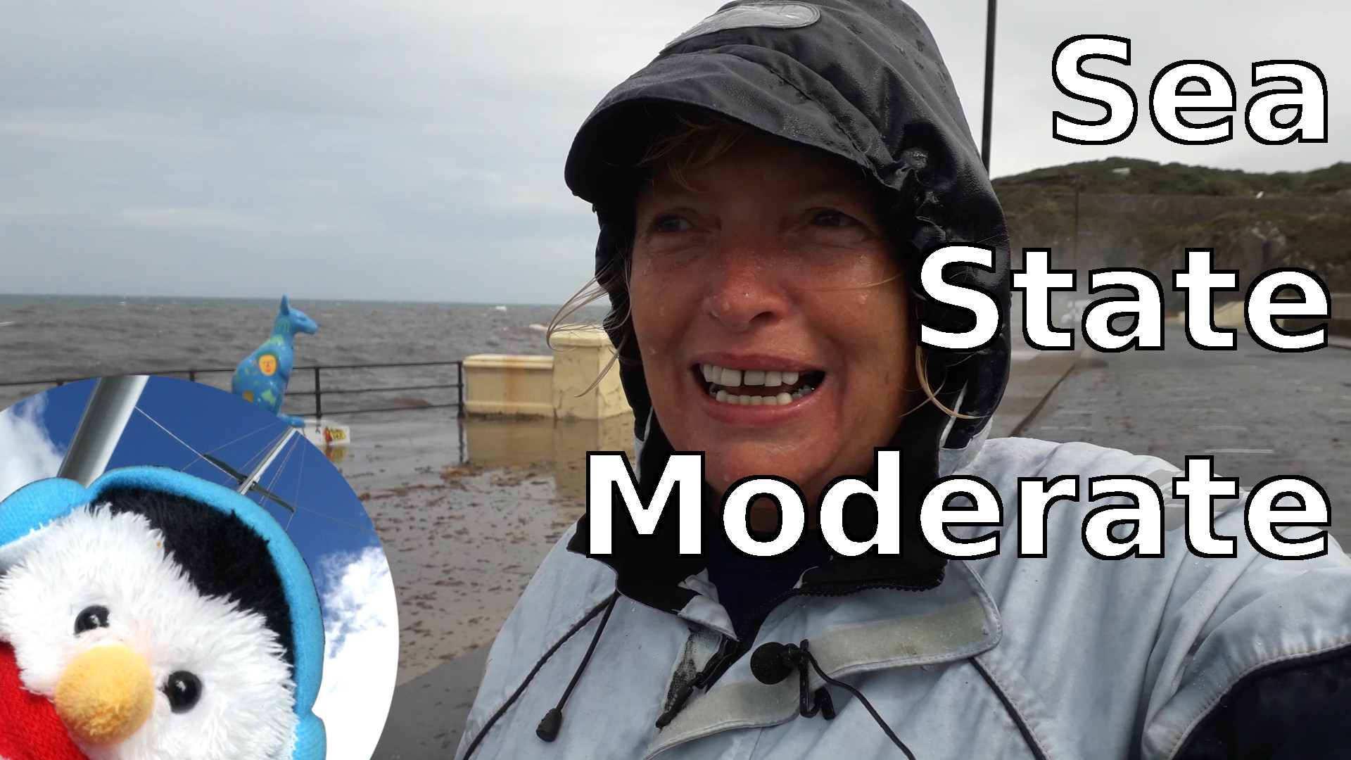 Watch our 'Sea state moderate' video and add comments etc.