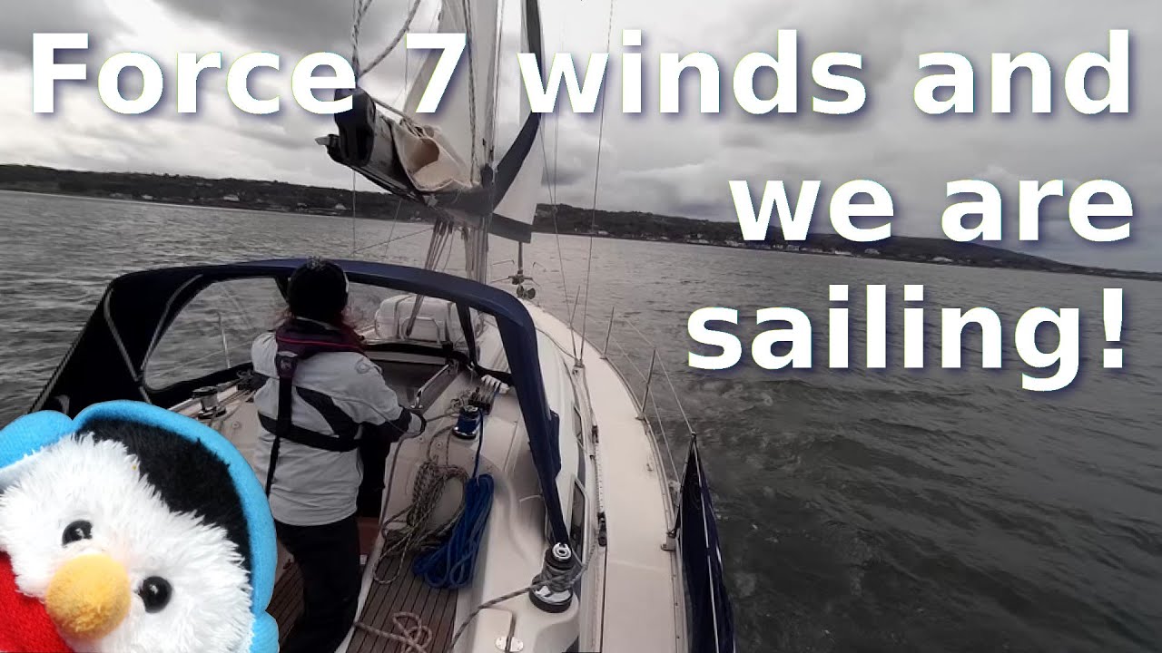 Watch our "Force 7 winds and we are sailing!" video and add comments