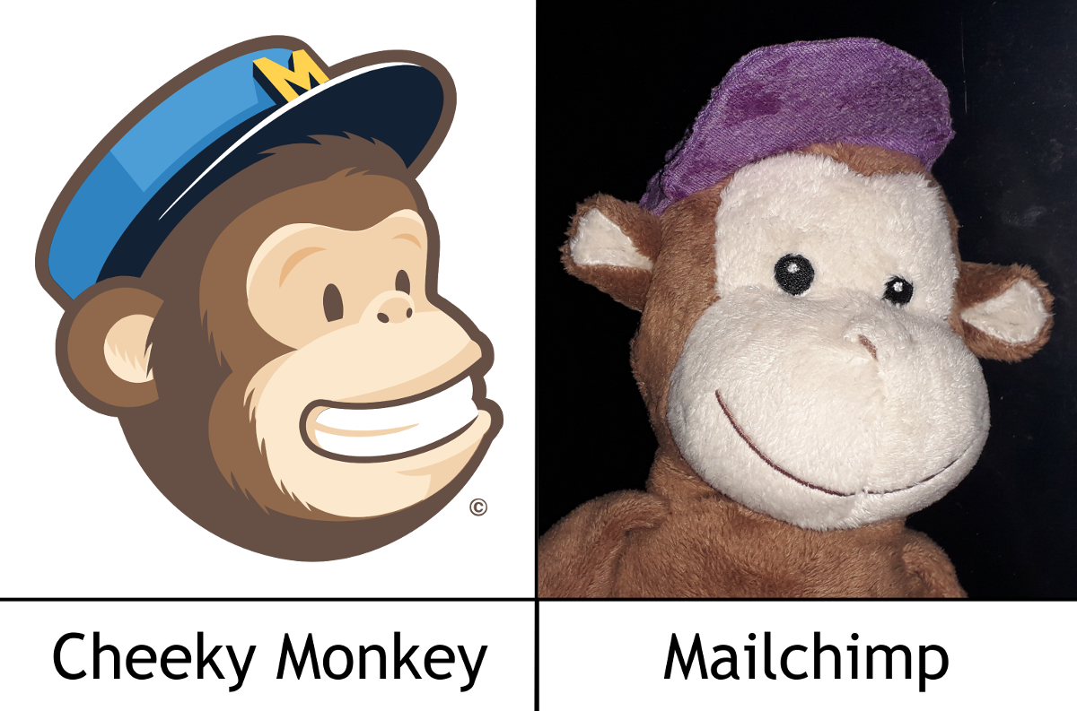 Cheeky Monkey will be using Mail Chimp for our Newsletter