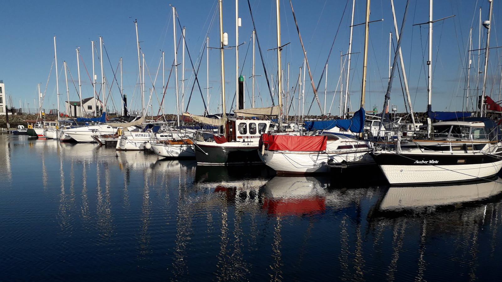 Boats in a Marina